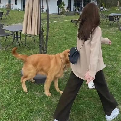 怖偶