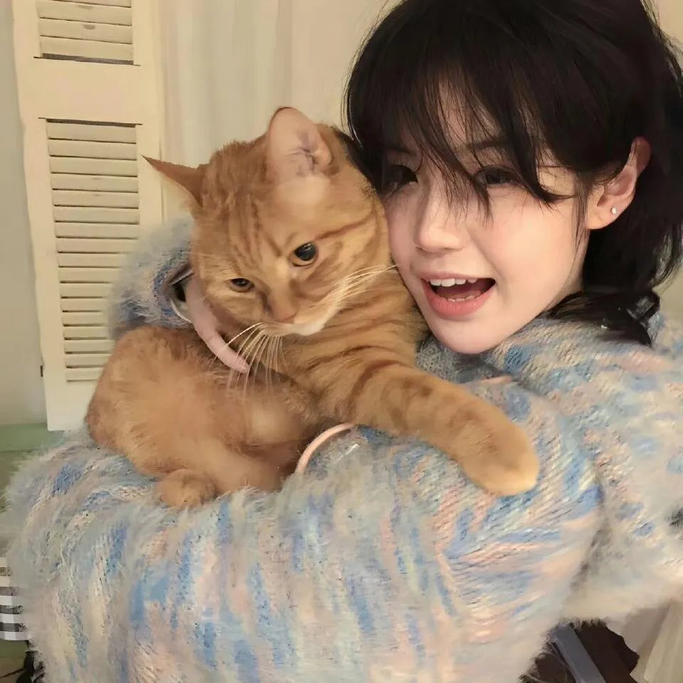 猫头鹰之森